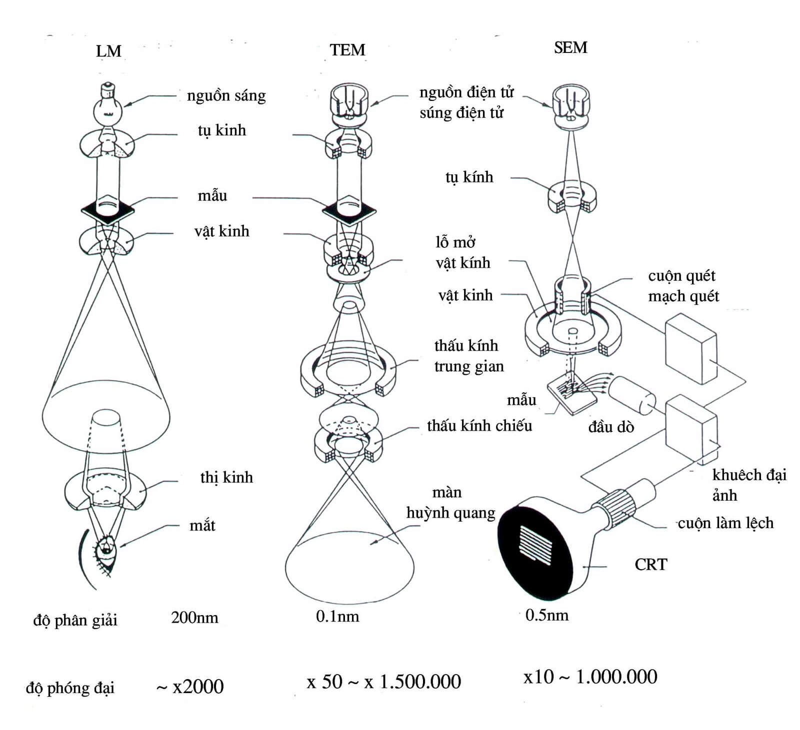 Cấu tạo của kính hiển vi điện tử