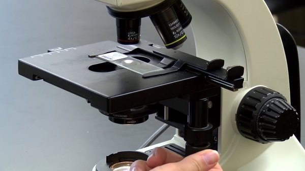 Các bước thao tác khi sử dụng kính hiển vi quang học
