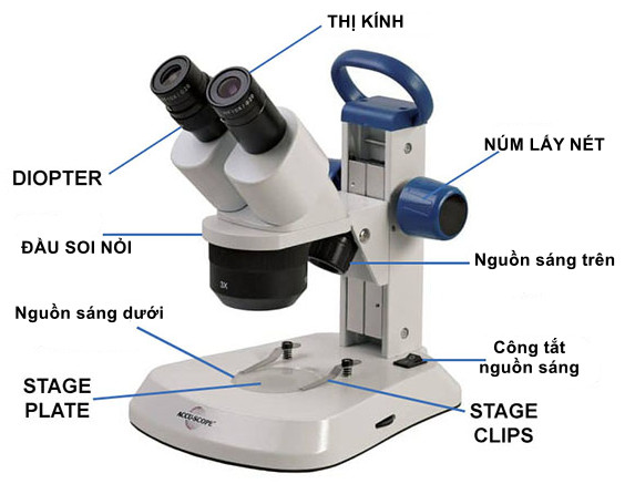 Cách sử dụng kính hiển vi soi nổi