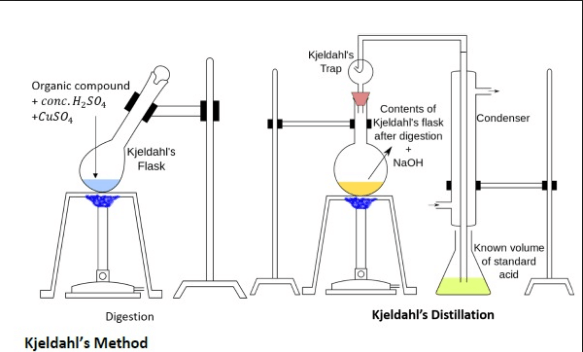 Cách xác định hàm lượng Nitơ bằng phương pháp Kjeldahl