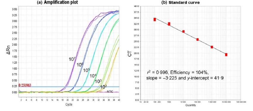 Đường chuẩn của Realtime PCR