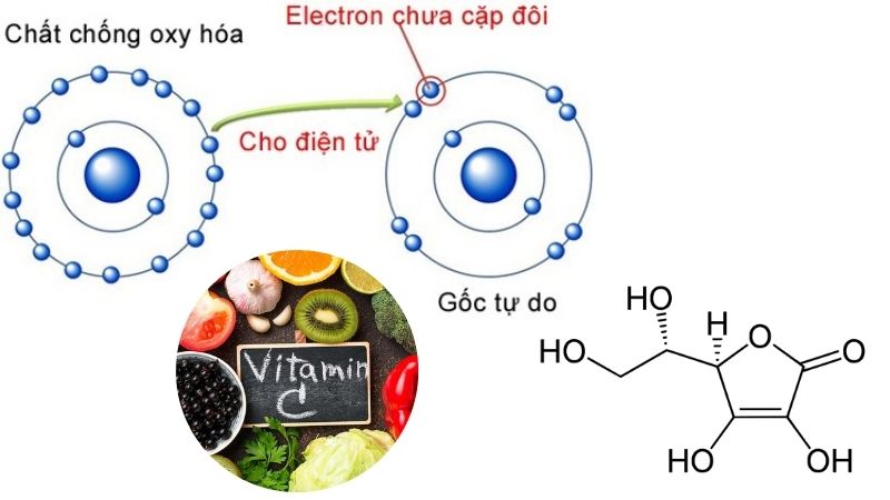 Cách bổ sung chất chống oxy hóa cho cơ thể