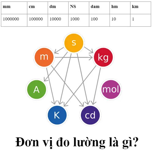 Đơn vị đo lường là gì