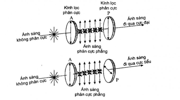 Cấu tạo của phân cực kế